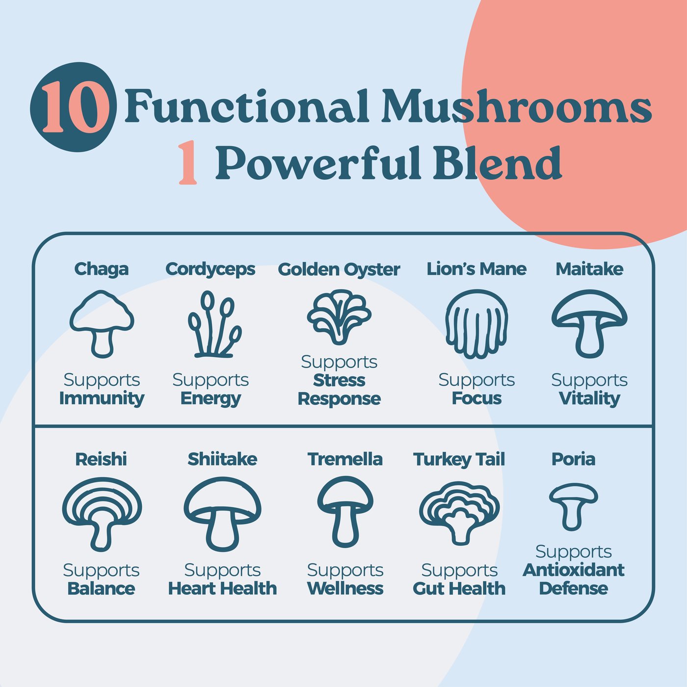 DIEZ DIEZ — 10-Mushroom Adaptogenic Tincture