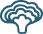 Turkey Tail icon